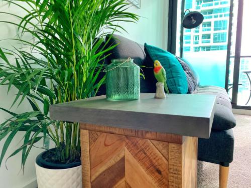 a table with a bird sitting on top of a couch at Large 2B2B Near Southern Cross FreeParking GYM POOL in Melbourne