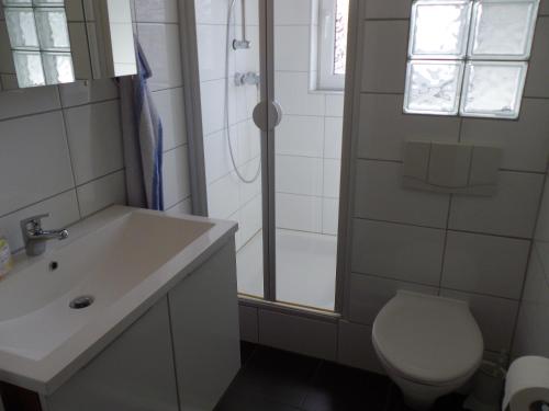 een badkamer met een toilet, een wastafel en een douche bij Ferienwohnung Fritzke in Lemförde