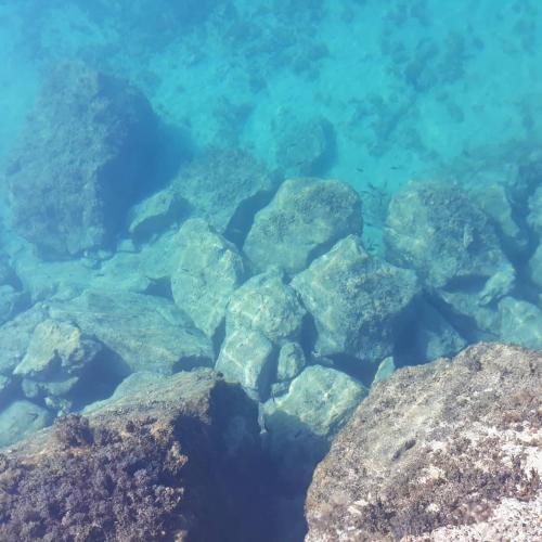 a group of rocks under the water at Apartman Grospic in Cesarica