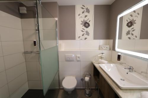 a bathroom with a shower and a toilet and a sink at Hotel Deutscher Hof in Babenhausen