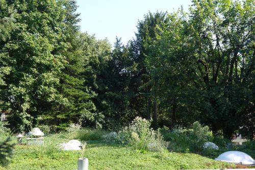a garden with trees and grass and plants at Exclusive Central Apartment in Basel