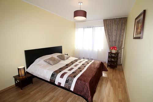 a bedroom with a bed and a window at Sauliaus apartamentai in Panevėžys