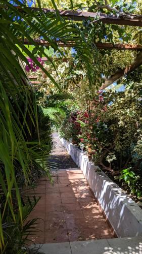 a walkway through a garden with flowers and plants at Villa Rosa Karibella in Saint-François