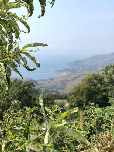 Φυσικό τοπίο κοντά σε αυτό το διαμέρισμα