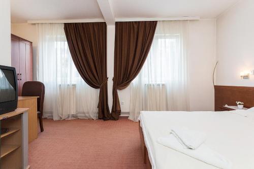 a hotel room with a bed and a television at Hotel Dominus in Bijelo Polje