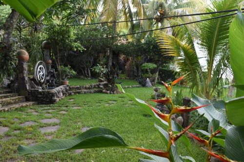 a garden with a yard with grass and plants at The Mayan Grouper in Suchitoto