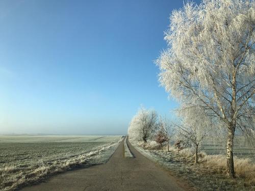 a road leading into a field with frosted trees at Gutshaus Lexow in Lexow