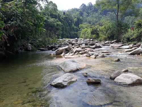 a river with rocks and trees in a forest at Ha Giang Faithien Homestay in Ha Giang