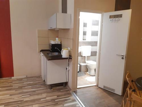 una pequeña cocina con lavabo y aseo en Liechtenstein Apartments, en Budapest