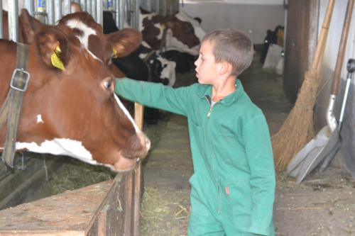 a young man petting a cow in a barn at Gruberhof in Rodengo