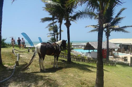 a horse standing next to palm trees near the beach at WegoKite Stars in Taíba