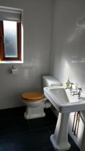a bathroom with a toilet and a sink at Honey Cottage in Amlwch