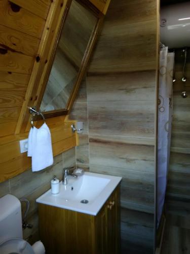 a bathroom with a sink and a mirror at Mountain House Tadić 1 in Bajina Bašta