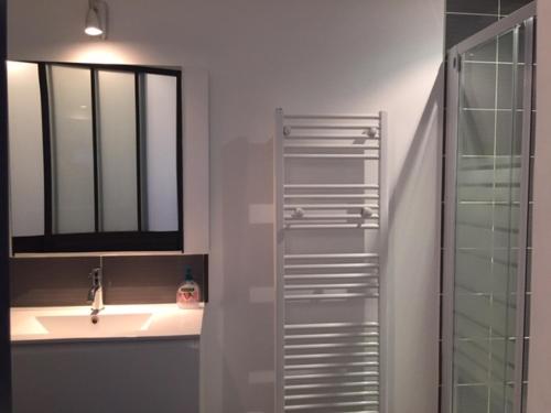 une salle de bain avec un lavabo, une douche et un miroir dans l'établissement Appart 8 pers vue sur baie - Porticcio, à Porticcio