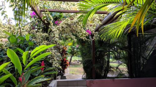 a garden with a bunch of plants and flowers at Villa Rosa Karibella in Saint-François
