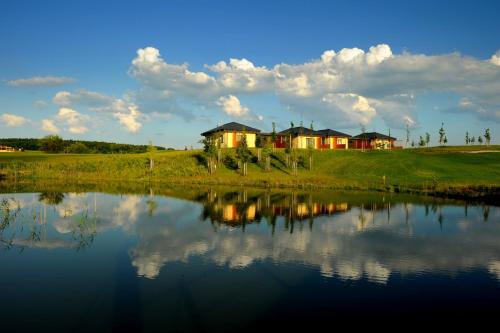 a house on a hill next to a body of water at Black Bridge Hotel Apartment in Prague