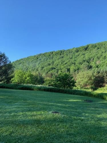 a large green field with a hill in the background at The Maples Apt - King Bed, Pet Friendly, Beautiful Views in Ellicottville