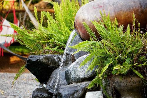 a water feature with plants on top of a rock at Rochabus in Ica