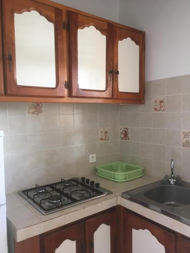 a kitchen with a stove and a sink at Le repaire des Caraïbes in Trois-Rivières