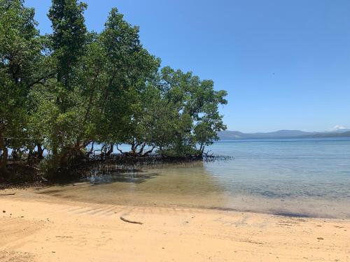 a beach with trees on the shore of a body of water at 3WILL Bunaken Dive Resort in Bunaken