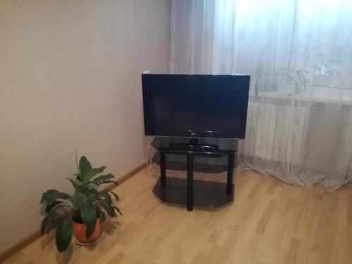 a flat screen tv on a stand in a room with a plant at Apartment 18 Microrayon in Zhlobin