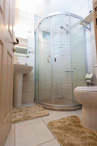 a bathroom with a shower with a toilet and a sink at Villa Yasemin Aparts in Göcek