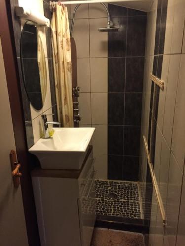 a bathroom with a sink and a shower at CHAPELLE ST NICOLAS in Roanne