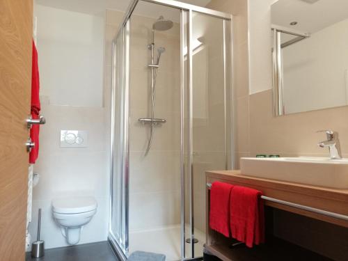 a bathroom with a shower and a toilet and a sink at Haus Scheiber in Umhausen