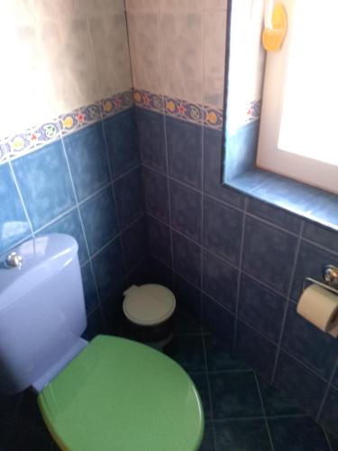 a bathroom with a green toilet and a green lid at The Colourful Mansion Hotel in Ahtopol