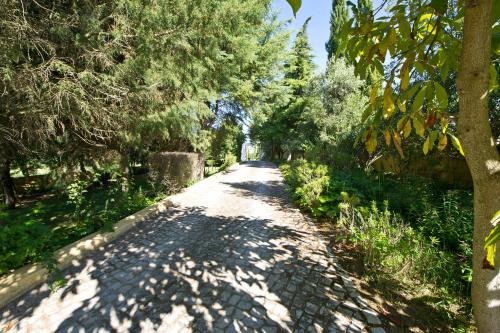 a cobblestone road with trees on either side at Quinta Da Cabrita in Santarém
