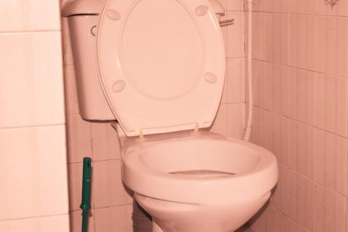 Ein Badezimmer in der Unterkunft Leinmach House Nyali