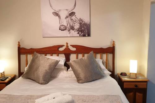 Dormitorio con cama con cabeza de ciervo en la pared en Spandau Manor, en Graaff-Reinet