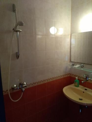 a bathroom with a shower and a sink at The Colourful Mansion Hotel in Ahtopol