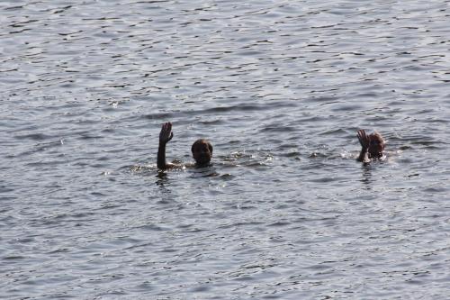 two people in the water with their hands up at Ferienhaus direkt am Schmalensee in Schmalensee