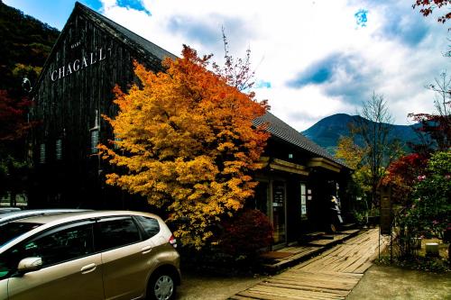 a car parked in front of a building with a tree at Yufuin Lamp no Yado in Yufuin
