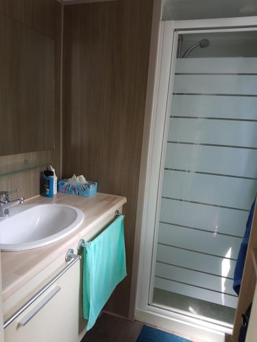 a bathroom with a sink and a glass shower door at Mobil-home 75 au Camping Le Rioumajou in Bourisp