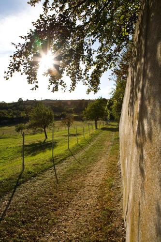 a dirt road next to a stone wall with the sun at Engelhard Das Landhotel Garni in Kirchheim am Ries