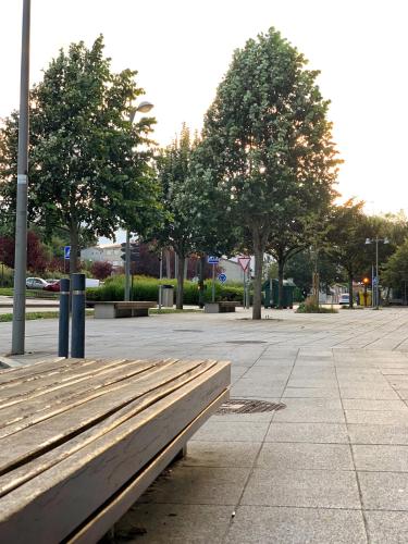 a wooden bench in a park with trees in the background at Dream in Santiago in Santiago de Compostela