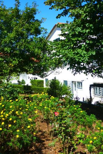 a white house with a garden of flowers at Comfy Sintra in Sintra