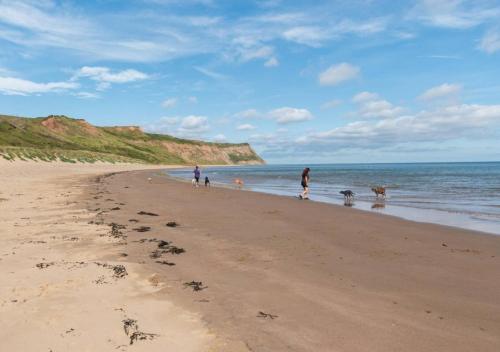 a group of people and dogs walking on the beach at Sunset View Apt 8 Skinningrove in Skinningrove