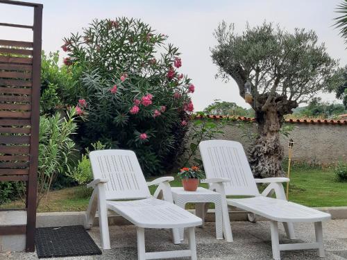 a couple of white chairs and a tree at la baita in Salerno