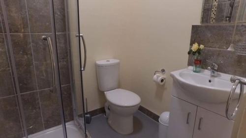 a bathroom with a toilet and a shower and a sink at The Rose Luxury Self Catering Accommodation in Armagh