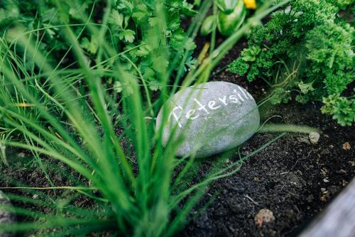a rock with the word veggies written on it in a garden at Egarter in Appiano sulla Strada del Vino