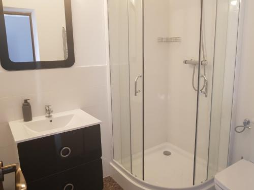 bagno con doccia e lavandino di Luxury Modern Apartments a Baia Mare