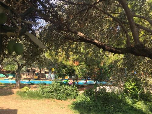 Κήπος έξω από το Bahar Bahce Datca