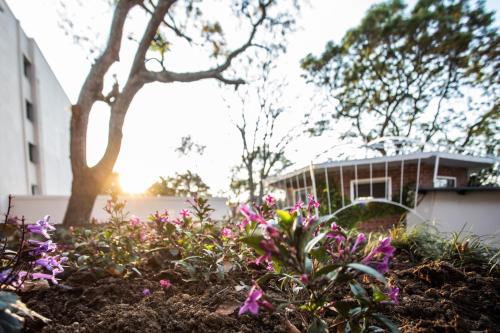 a garden with flowers in front of a building at Southern Sun Ridgeway Lusaka in Lusaka