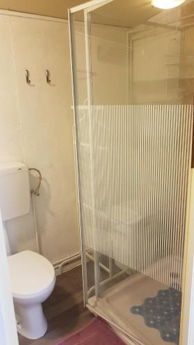 a bathroom with a toilet and a glass shower at CROTTO CARACO APPARTAMENTI BUNGALOW CHALET in Porlezza