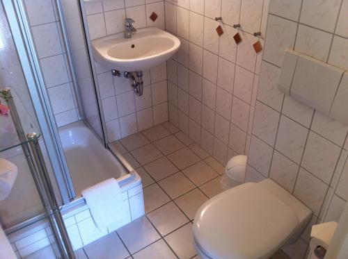 a bathroom with a toilet and a sink at Pension Seba in Grevesmühlen