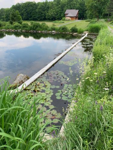 a wooden stick in the water with lilies at Domaine Gagnon in Saint Sebastien
