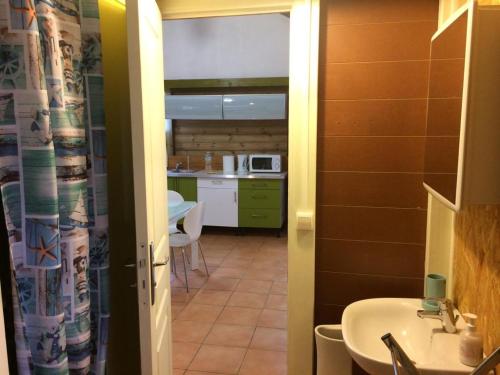 ein Bad mit einem Waschbecken und eine Küche in der Unterkunft Grand studio Cacao 1 in Baie-Mahault